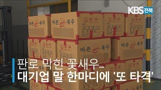 판로 막힌 꽃새우.. 대기업 말 한마디에 '또 타격' 2019.07.29(월)