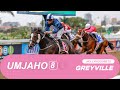 20240814 isiZulu Hollywoodbets Greyville Race 8 won by MASTERBLING