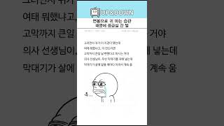 면봉으로 귀 파는 습관 때문에 응급실 간 썰