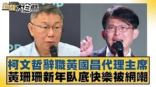 柯文哲辭職黃國昌代理主席 黃珊珊新年臥底快樂被網嘲【新聞大白話】20250101-8｜葉元之 康仁俊 陳揮文