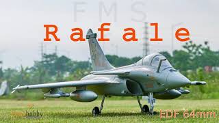Unboxing Fms Rafale Edf 64mm Nato Tiger Meet  Rc Airplane   Lunahobby