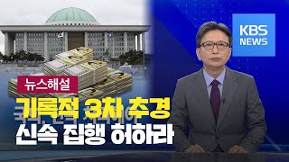 [뉴스해설] 기록적 3차 추경, 신속 집행 허하라 / KBS뉴스(News)