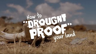 How To Drought Proof Your Land I FMNR I World Vision Australia