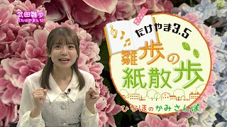 たけやま3.5 雛歩の紙散歩 #53