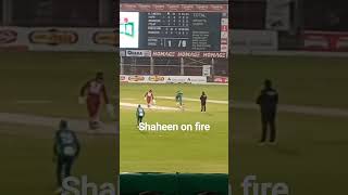 SHAHEEN SHAH AFRIDI 🥰| PAKISTAN VS WEST INDIES |