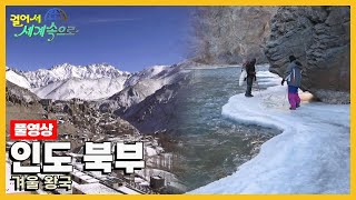 [걸어서세계속으로Full📺] 누구에게나 열려 있지만 쉬이 들어갈 수 없는 땅 '인도 북부' Trip to India (KBS 20220205)