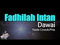 Fadhilah Intan - Dawai (Karaoke Nada Cowok/Pria) LIRIK HD