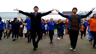 愛知淑徳大学 淑楓祭 メインステージ 鳴踊 総踊り (愛ちったセントレア)