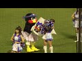 20180526 もはやお約束？勝利フラッグでpassionを捕獲？するつばみちゃん 東京ヤクルトスワローズ