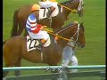 20世紀の名馬　63位　ヒカルイマイ