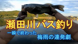 瀬田川バス釣り　一瞬で終った梅雨の連発劇