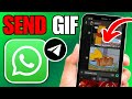 How To Send GIF on WhatsApp on iPhone (Quick Guide)