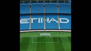 The Ethihad Stadium