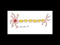 sistema nervoso estrutura do neurônio anatomia e etc.