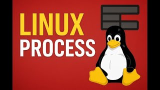 🔥 Linux Process Explained | Linux System Programming in C | From Basics to Memory Layout
