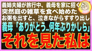 義姉夫婦が旅行中、義母を預かると突然義母が庭に降り雑草を口に詰め込み出したので、慌ててお粥を出すと義母「ありがとう…何年ぶりかしら」→その言葉を聞いた私は無言で立ち上がり