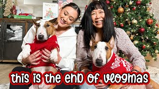 this is the end of vlogmas | vlogmas day 21