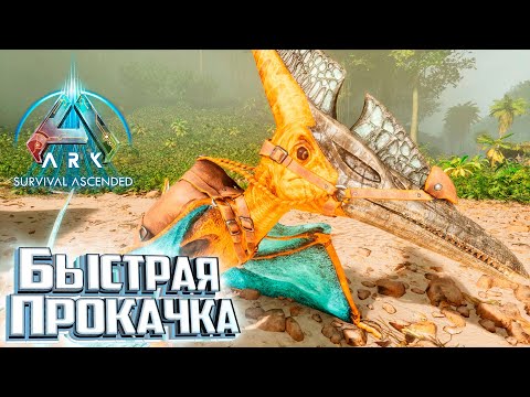 Улучшаем Всё - Survival Ascended Выживание #3