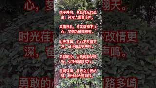 經典勵志文學分享，歡迎訂閱點贊評論，謝謝！68985