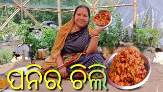 ପନିର ଚିଲି // paneer chilli making #Cool And Cook// Odia kitchen