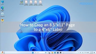 6. How to Crop an 8 5''x11'' Page to a 4''x6'' Label