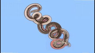 Nematode Worms - Roundworms