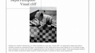 Introduction to Perception- Part 1