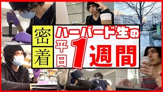 【完全密着】アメリカ大学院生の1週間の留学ルーティン全部見せます🙈【ハーバード大学】