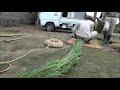 暑い夏を無事に過ごせますように　真庭市の神社で無病息災を祈る「茅の輪くぐり」　岡山