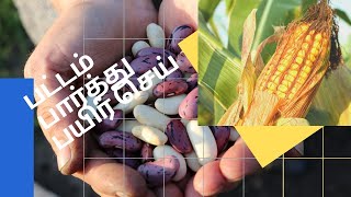 Gardening Tips Crops and Cultivation time | பட்டம் பார்த்து பயிர் செய்