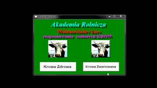 Szalona krowa - kurs rozpoznawania szalonych krów