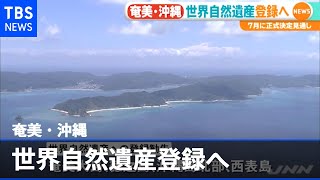 奄美・沖縄 世界自然遺産登録へ ７月に正式決定見通し