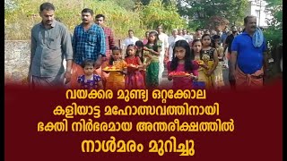 വയക്കര മുണ്ട്യ ഒറ്റക്കോല കളിയാട്ട മഹോത്സവത്തിനായി  നാള്‍മരം മുറിച്ചു