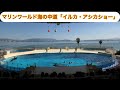 マリンワールド海の中道「イルカ・アシカショー」