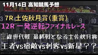 【2021年11月14日 高知ファイナル予想】3歳世代戦最終戦の土佐秋月賞、王者ハルパクの雪辱なるか