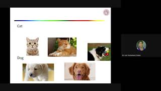 Data Mining Functionalities DM Lecture2