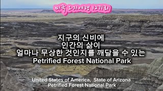 미국 오지여행 1271회  지구의 신비와 인간의 삶. Petrified Forest N/P