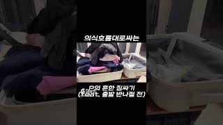 나만 이렇게 짐싸? 다 그런거아냐? #여행 #짐싸기