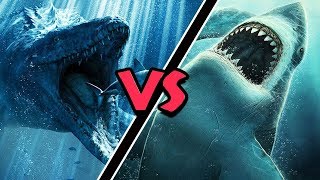 Mosasaurus VS Megalodon – (Who Would Win?)