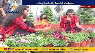 నర్సరీల్లో ఆకట్టుకుంటున్న సీజనల్ పుష్పాలు | Flowers Attract | Nursery | Kadiam