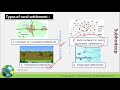 types and patterns of rural settlements geographical optional upsc ias