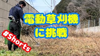 電動草刈機（刈払機）は静かでいい！パワーは機種によってはエンジン式に劣るけど最高！（株）高儀（Earth Man）のを使ってみました！