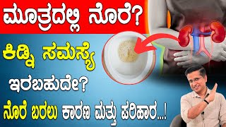 ಮೂತ್ರದಲ್ಲಿ ನೊರೆ? ಕಿಡ್ನಿ ಸಮಸ್ಯೆ ಇರಬಹುದೇ ? ಕಾರಣ ಮತ್ತು ಪರಿಹಾರ | Foamy Urine: Symptom, Causes &Treatment