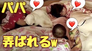 僕が寝ている間の猫さん＆子供達【猫に愛されすぎて寝不足15】