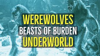 Werewolves (BEASTS OF BURDEN) Underworld Explained