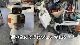 ジェンマ125を直してみよう Suzuki Gemma125 restoration oil seal crank bearing CS125