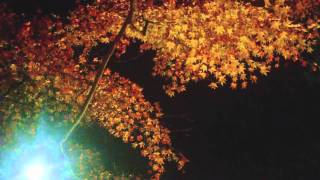 小国神社 紅葉　2010年