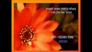 חיוך - פתגמים יפים עם חיוך - חוכמת חיים