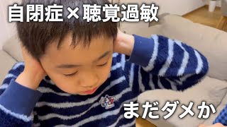 【自閉症れお８歳】毎年耳をふさぐ音/猫舌だけど鍋が好き/新たな仲間