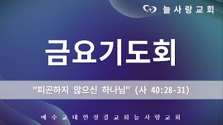 [부천늘사랑교회] 23.06.16 | 금요기도회 | 피곤하지 않으신 하나님 | 사 40:28-31 | 박믿음 전도사